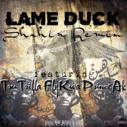 Lame Duck Shahin Remix