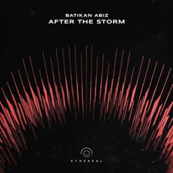 After the Storm Extended