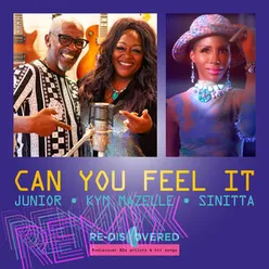 Can You Feel It Remix