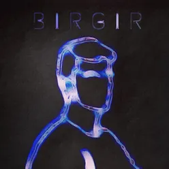 Birgir