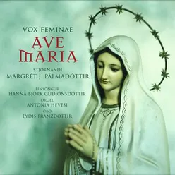 Ave Maria Alternative