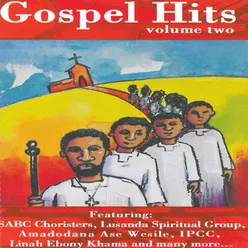 Gospel Hits, Vol. 2