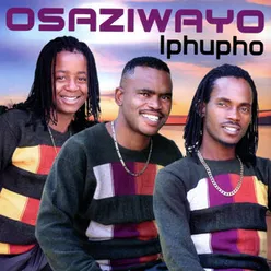 Ngifundile Ngibonile- Osaziwayo