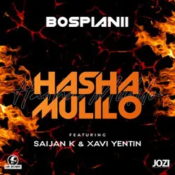 Hasha Mulilo Radio Edit