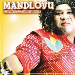 Inkonzo Kamandlovu, Vol. 1