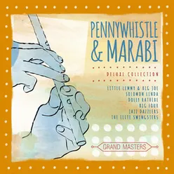 Pennywhistle