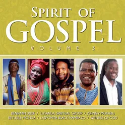 Spirit of Gospel, Vol. 3