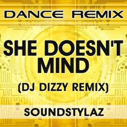 She Doesn't Mind DJ Dizzy Remix