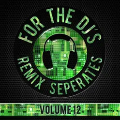 For The DJs, Vol. 12