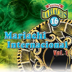 16 Exitos Mariachis Internacional, Vol. 1 Instrumental