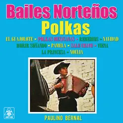 Bailes Norteños Polkas Instrumental