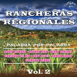 Palabra Por Palabra, Vol. 2 Rancheras Regionales