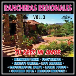 Tu Eres Mi Amor, Vol.3 Rancheras Regionales Instrumental