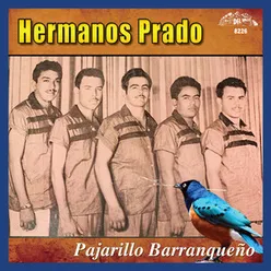 Pajarillo Barranqueño