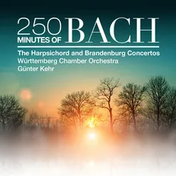Concerto No. 1 in C Minor for Two Harpsichords and Orchestra, BWV 1060: II. Adagio