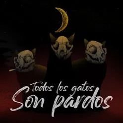 Todos los Gatos Son Pardos