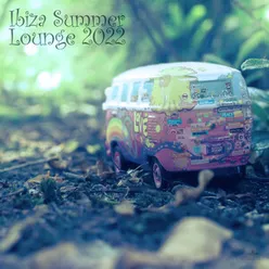 Ibiza Summer Lounge 2022 Continuous Mix