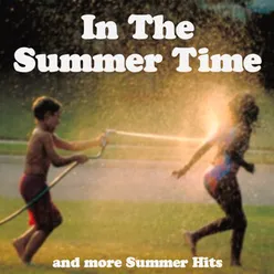 IN THE SUMMERTIME & MORE SUMMER HITS