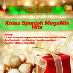 Xmas Spanish Megamix Hits