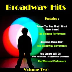 Broadway Hits, Vol.Two