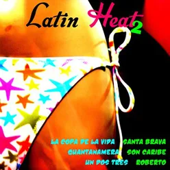 Latin Heat, Vol.2