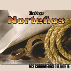 Éxitos Norteños