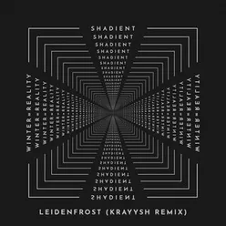 Leidenfrost-Kraysh Remix