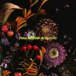 Full Bloom-Acoustic Version