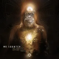 The Squatch Expands Life-Nanda Remix