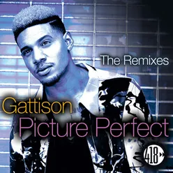 Picture Perfect-The Remixes