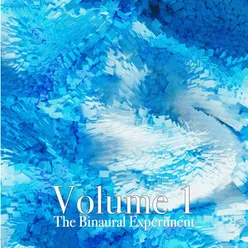 The Binaural Experiment, Vol. 1