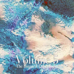 The Binaural Experiment, Vol. 5