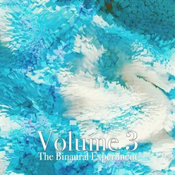 The Binaural Experiment, Vol. 3