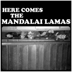 Here Comes the Mandalai Lamas