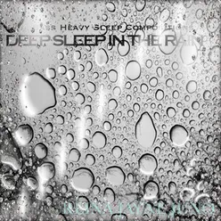 Deep Sleep in the Rain 5