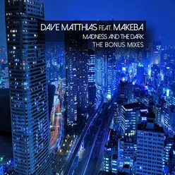 Madness and the Dark-Haytem Radio Edit