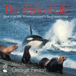 The Trials of Life-Music of the BBC TV series presented by David Attenborough