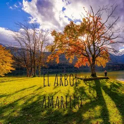 El Arbol Amarillo