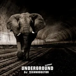 Underground Elephant