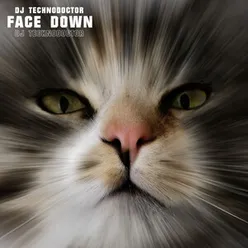 Face Down-Instrumental
