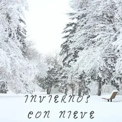 Copos De Nieve