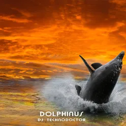 Dolphinus