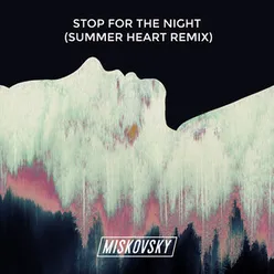 Stop for The Night-Summer Heart Remix