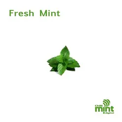 Fresh Mint