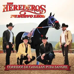 Corridos de Caballos Pura Sangre