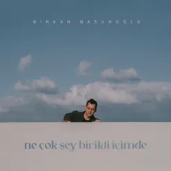 ne çok şey birikti içimde