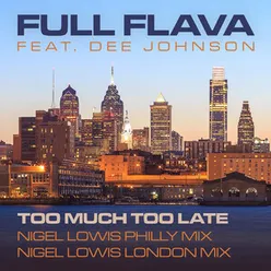 Too Much Too Late Nigel Lowis Remixes