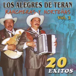 Rancheras Y Norteñas 20 Exitos, Vol. 2