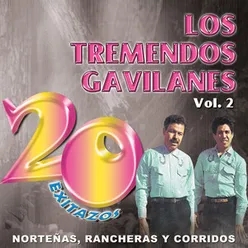 20 Exitazos: Los Tremendos Gavilanes, Vol. 2