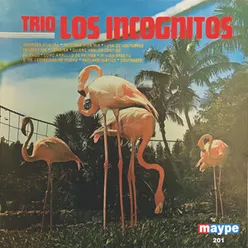 Trio Los Incognitos